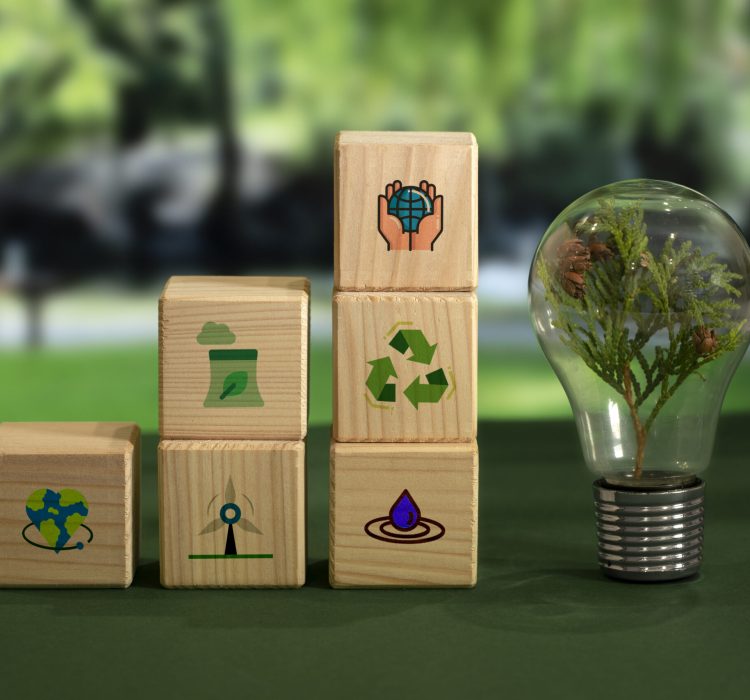 sustainable-development-goals-still-life